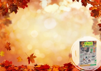 Herbstkatalog 2026